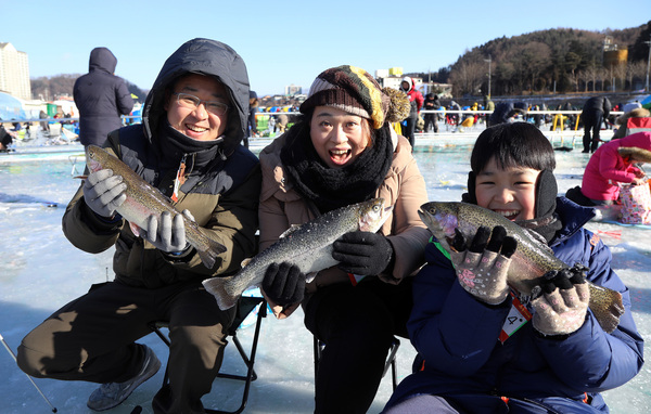 Travel Guide ke Korea - trout festival